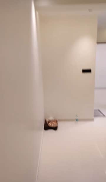 1 BHK Apartment For Rent in UK Iridium, Kandivali East