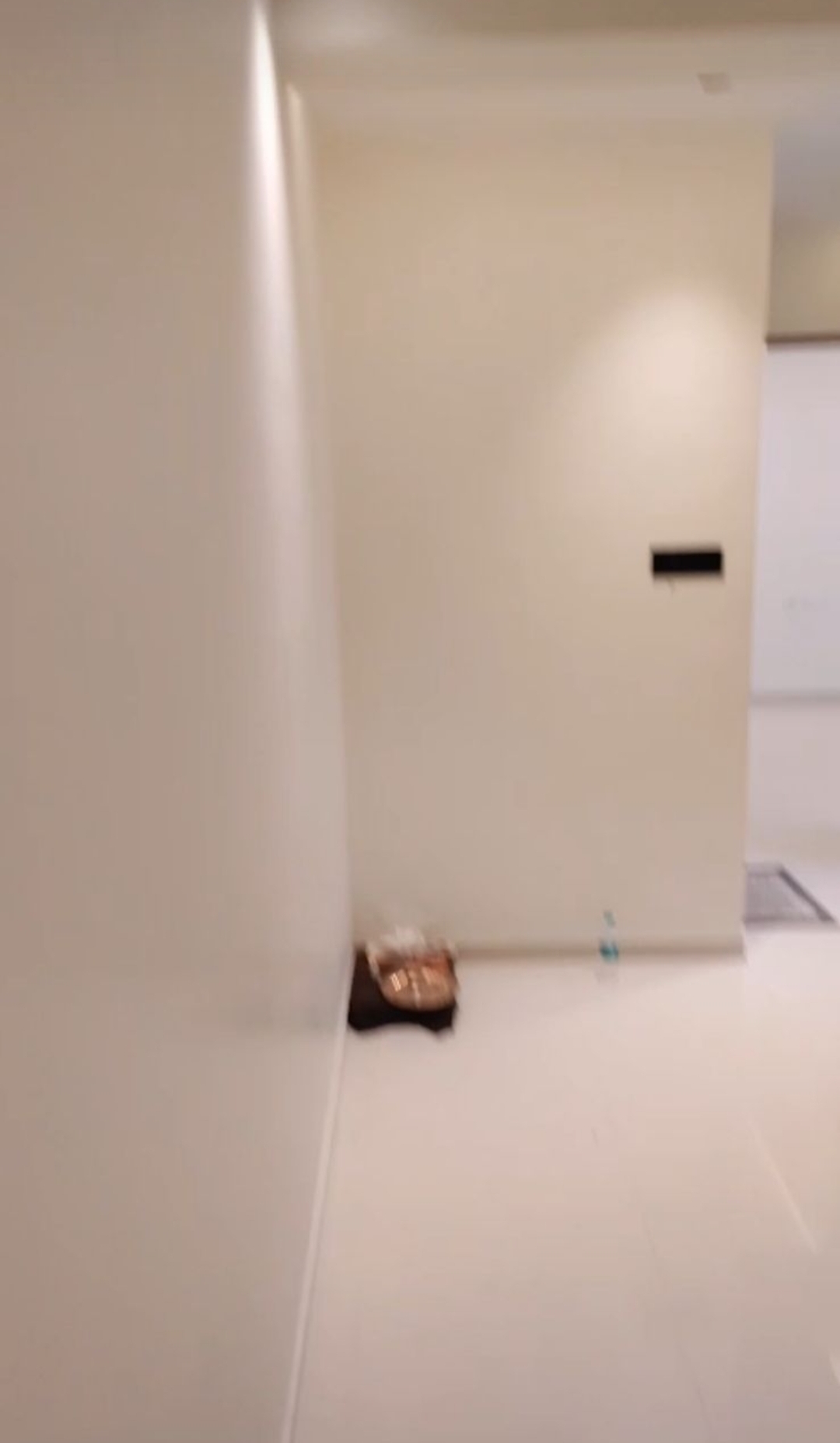 1 BHK Apartment For Rent in UK Iridium