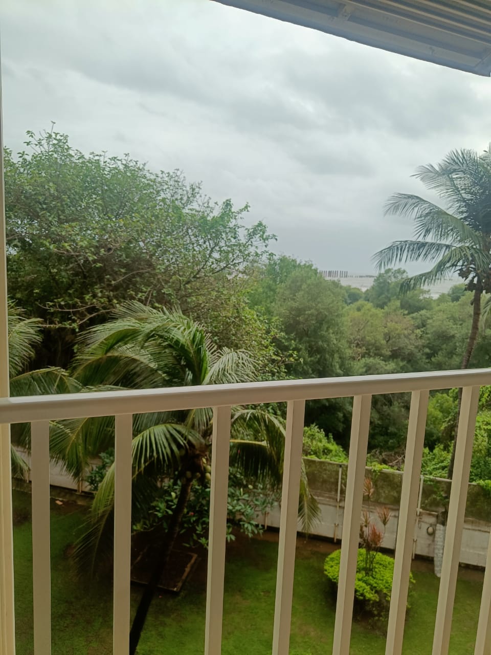 1 BHK Apartment For Rent in Sea Shell Apartment