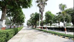 Plot For Sale in Jmd Group 