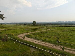 Plot Area in  Plot at Selakui – for Sale