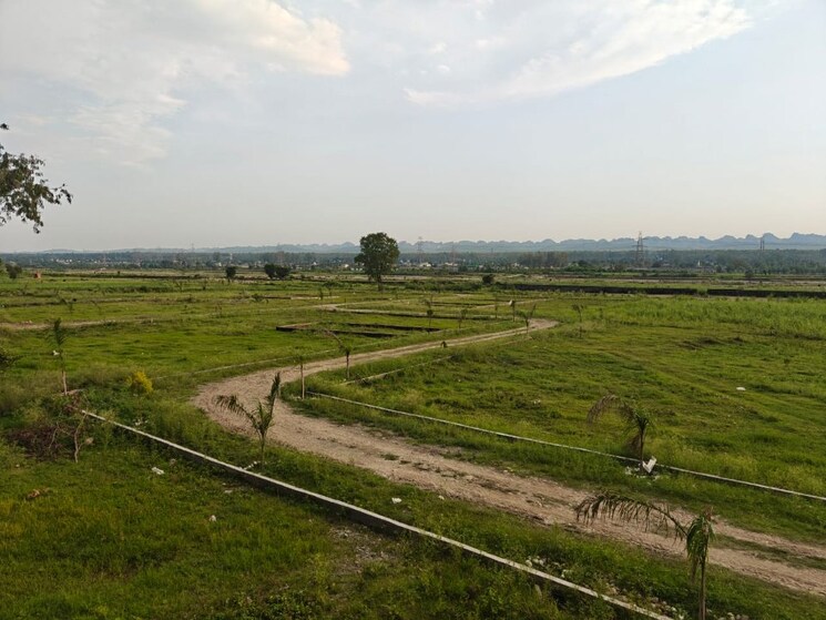 undefined, selakui  900 Sq.Ft. Plot In Selakui Dehradun 9256445