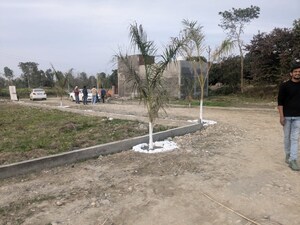 Plot Area in  Plot at Selakui – for Sale