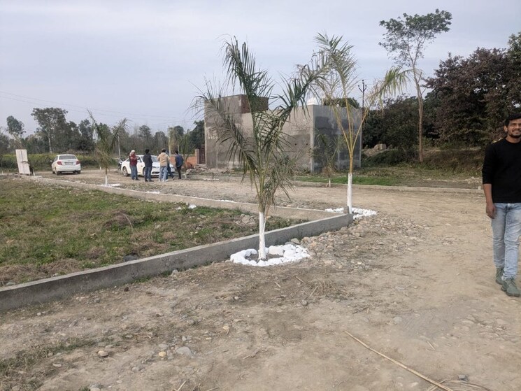 undefined, selakui  900 Sq.Ft. Plot In Selakui Dehradun 9256445