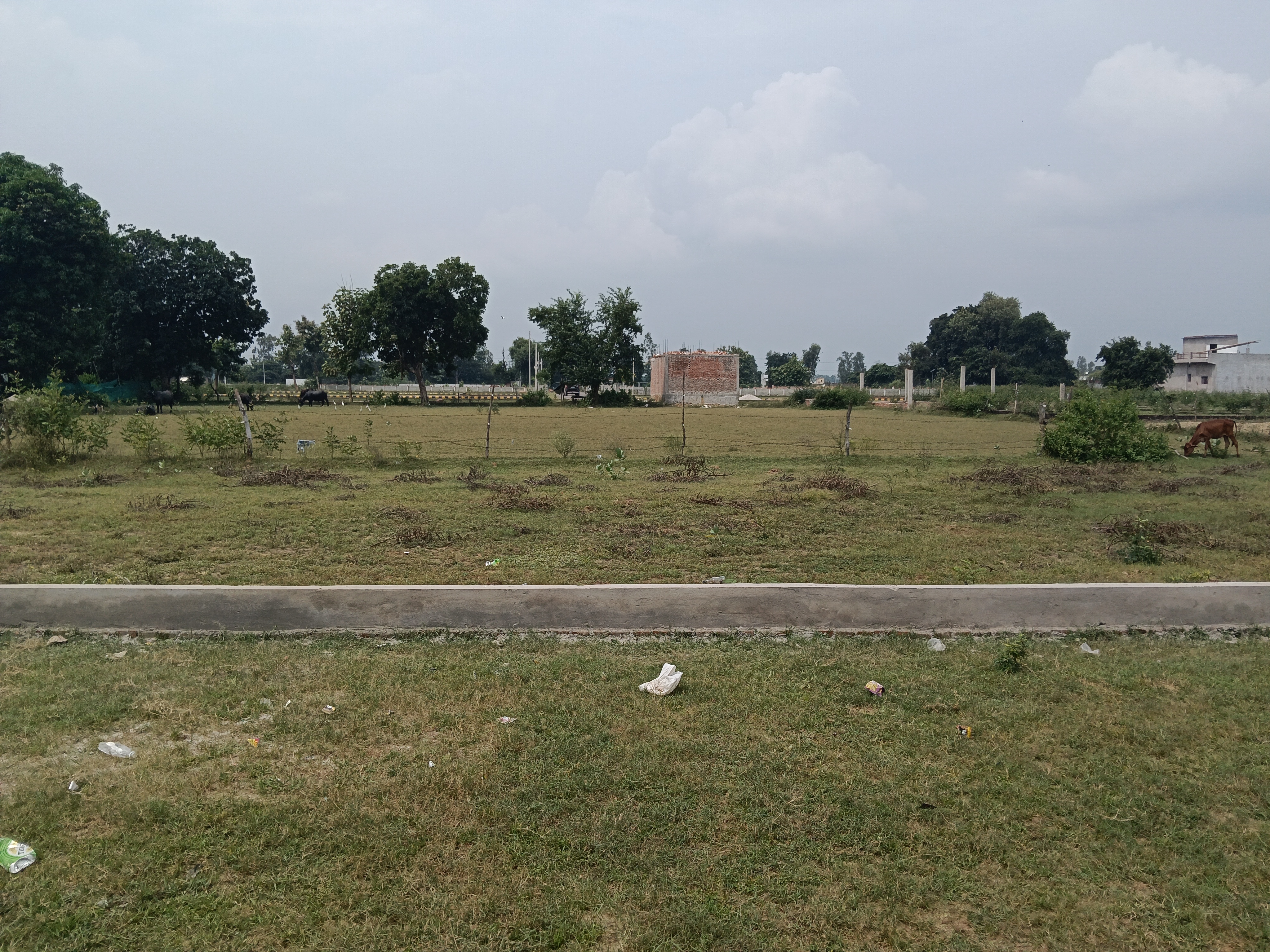 Plot For Sale in Kamta Me Plots Available