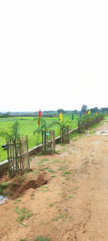 Plot Area in  Plot at Pithoria Road – for Sale