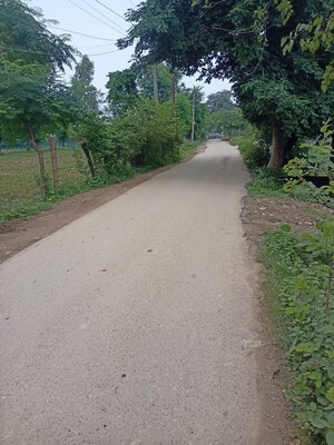 Plot Area in  Plot at Kamta – for Sale