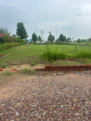 Plot Area in  Plot at Barsana – for Sale