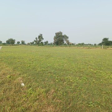  Plot For Sale in Ranopali