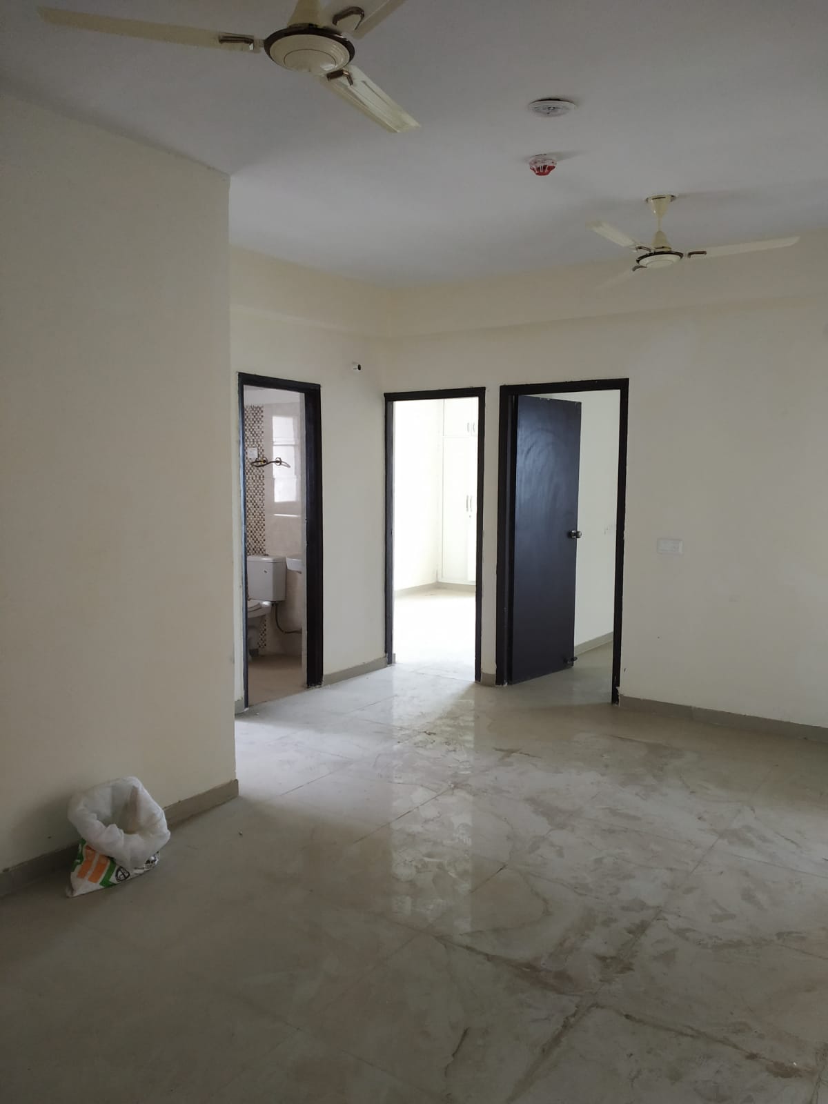 1 BHK Apartment For Rent in Mehak Jeevan