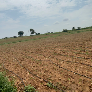 Plot Area in  Land at Poranki – for Sale