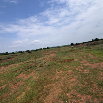 Plot Area in  Land at Poranki – for Sale