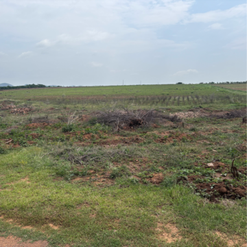Plot Area in  Land at Poranki – for Sale