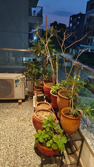 3 BHK Builder Floor For Sale in Parklands, Sector 85