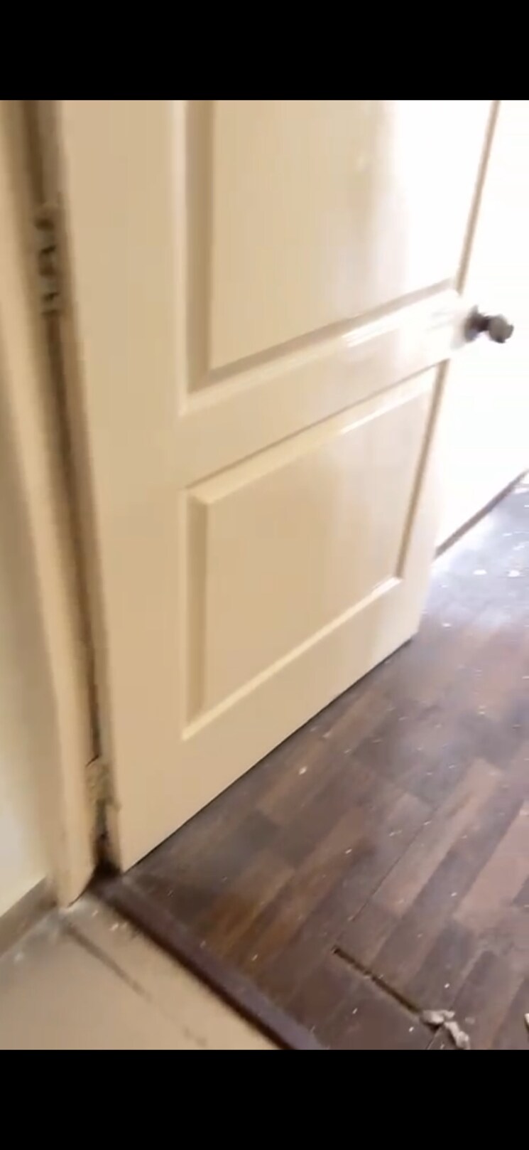 undefined, paras-seasons 3 Bedroom 1165 Sq.Ft. Apartment In Sector 168 Noida 9257793