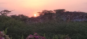  Plot – Exterior View View at Eros Lakewood City, Suraj Kund - for Sale