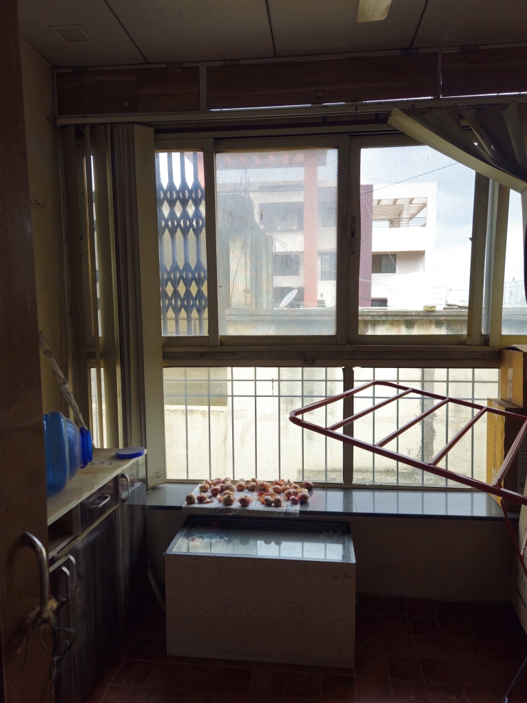 1 BHK Apartment For Rent in Kashid Park 