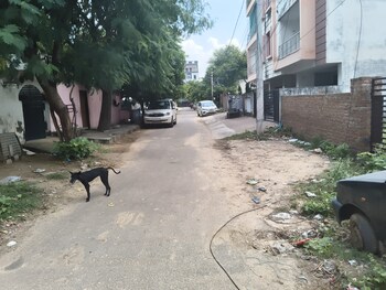 Plot for Sale in Malviya Nagar, Jaipur