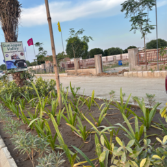 Plot For Sale in Gunsagar Valley Lakhna ro