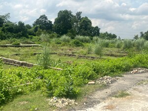 Plot Area in  Plot at Rohania – for Sale