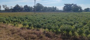 Plot Area in  Plot at Maheshwaram – for Sale