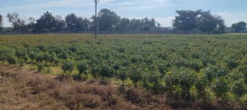 Plot Area in  Plot at Maheshwaram – for Sale