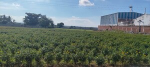  Plot – Exterior View View at Maheshwaram - for Sale