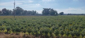  Plot For Sale in Maheshwaram