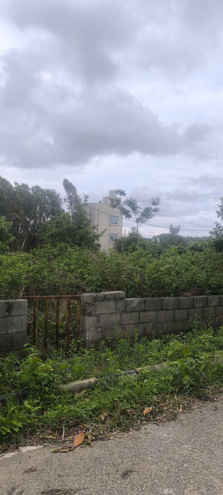 undefined, begur  1260 Sq.Ft. Plot In Begur Bangalore 9258943