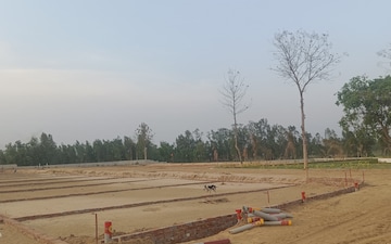 Plot For Sale in Dholera