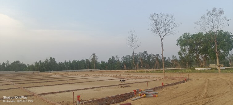 Cover Image, dholera  2335 Sq.Ft. Plot In Dholera Ahmedabad 9259559