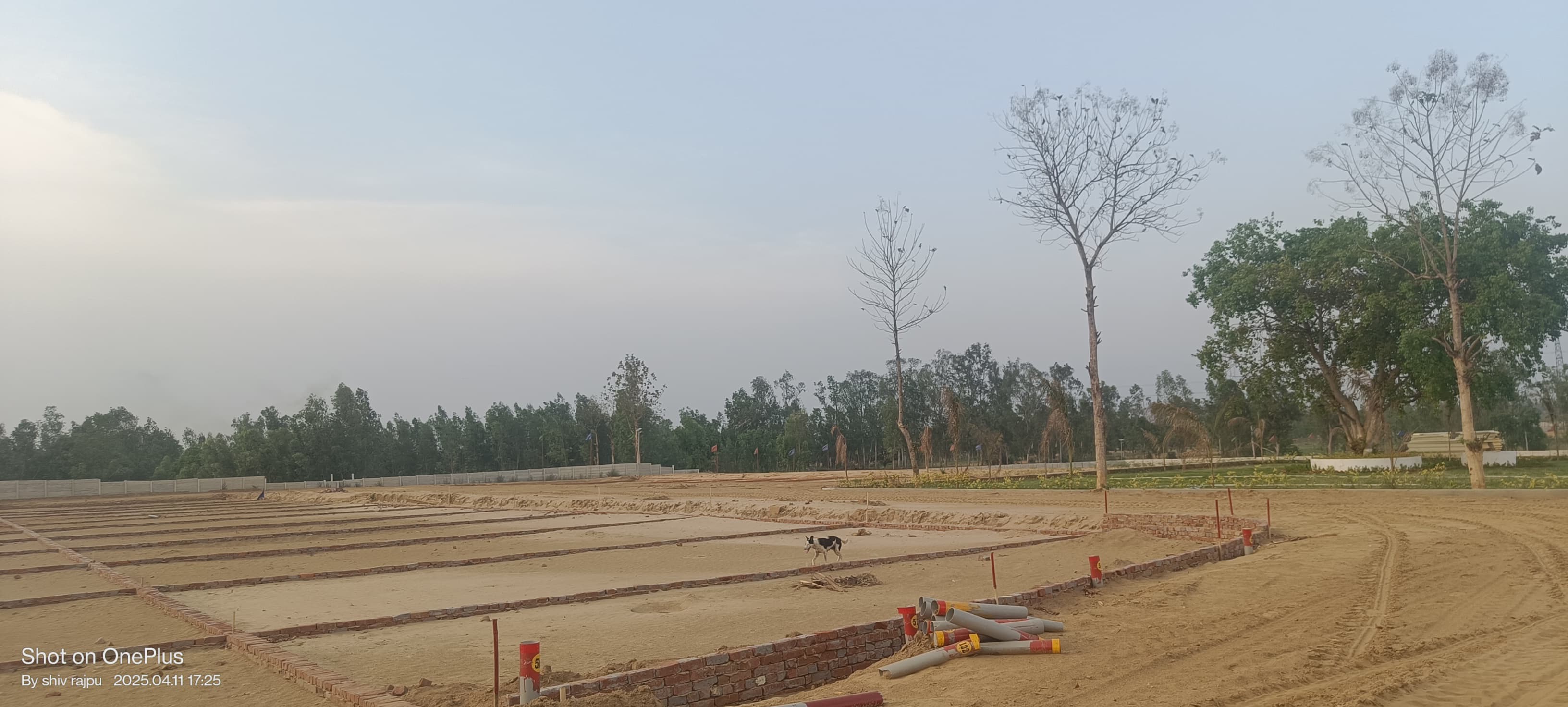 Plot For Sale in Dholera