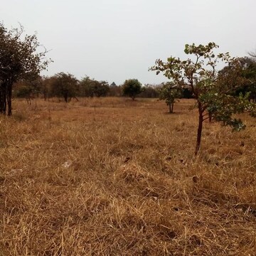  Plot For Sale in Ranopali