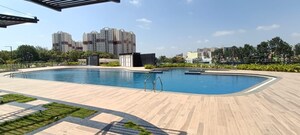 Swimming Pool in 2 BHK Apartment at Godrej Nurture Electronic City, Electronic City Phase I – for Sale