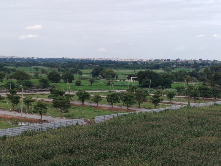 undefined, shathabdhi-silver-stone  174 Sq.Yd. Plot In Shadnagar Hyderabad 9260086