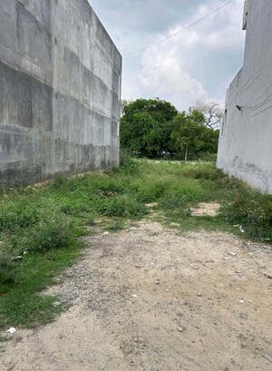  Plot For Sale in Sector 64