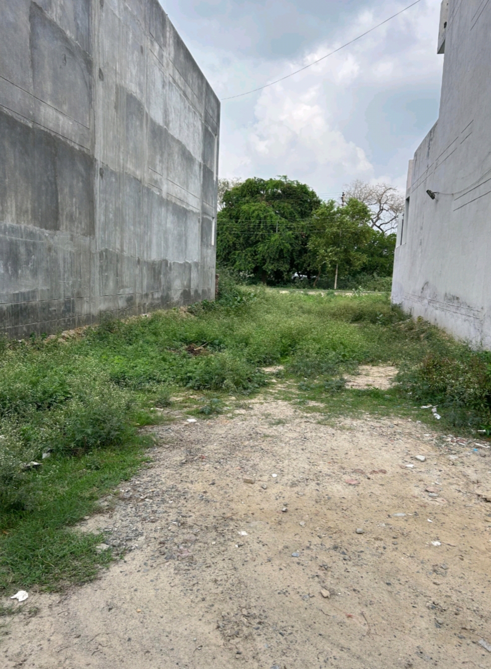 Plot For Sale in Sector 64