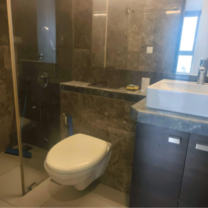 Bathroom in 2 BHK Apartment at L&T Emerald Isle, Budhia Jadhav Wadi – for Rent