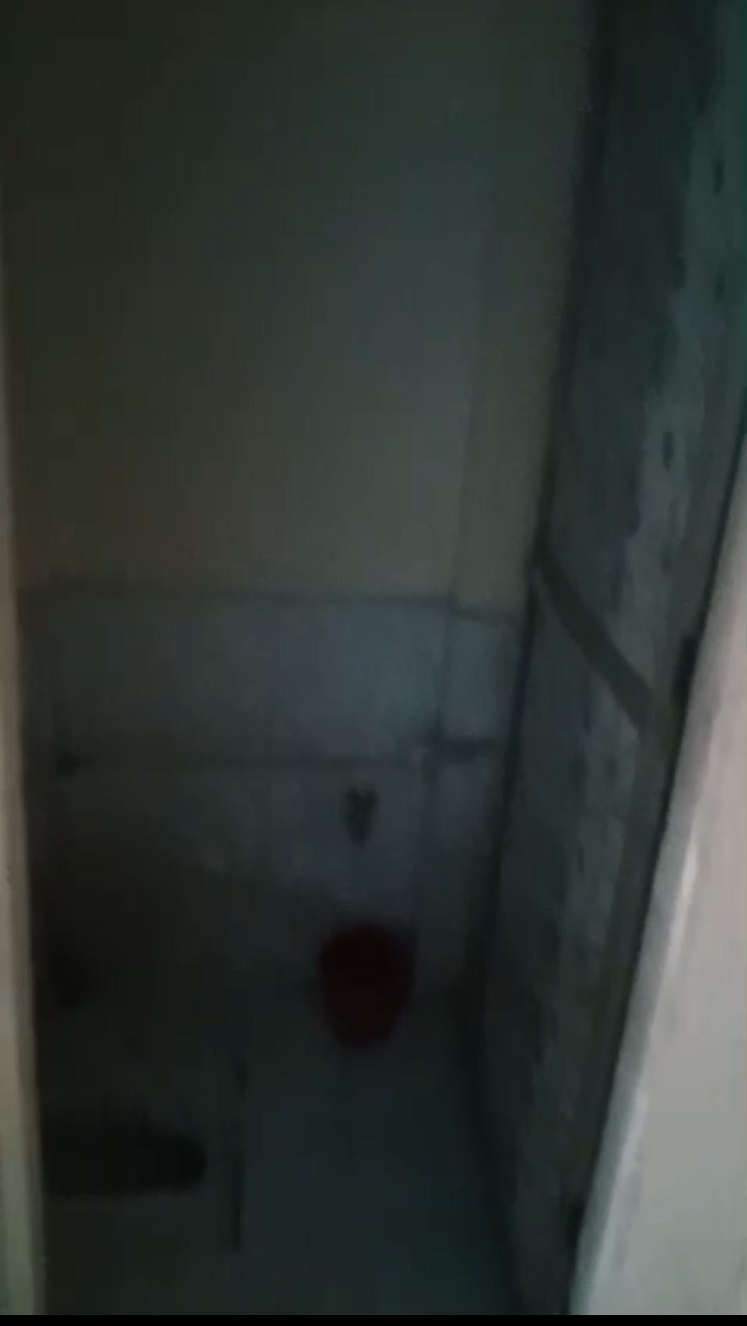 1 Rk  240 Sq.Ft. Apartment in Ameya CHS Parel