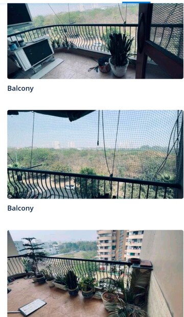 4 BHK Apartment For Rent in Sagar Kunj Apartments, Sector 9a