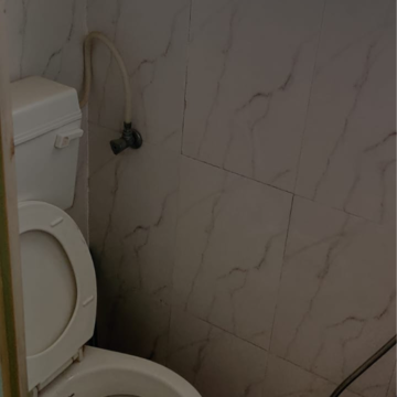 Bathroom in 1 BHK Apartment at Raj Heramba Venkatesh Imperia, Punawale – for Rent
