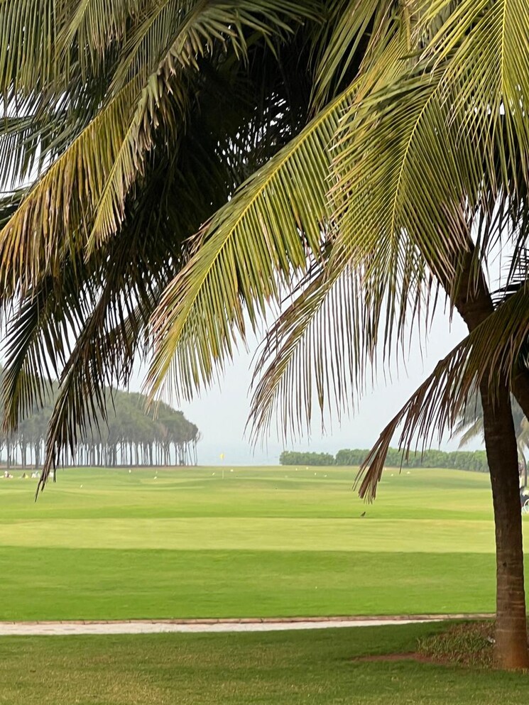 Exterior View, bhogapuram  888 Sq.Yd. Plot In Bhogapuram Vizag 9261212