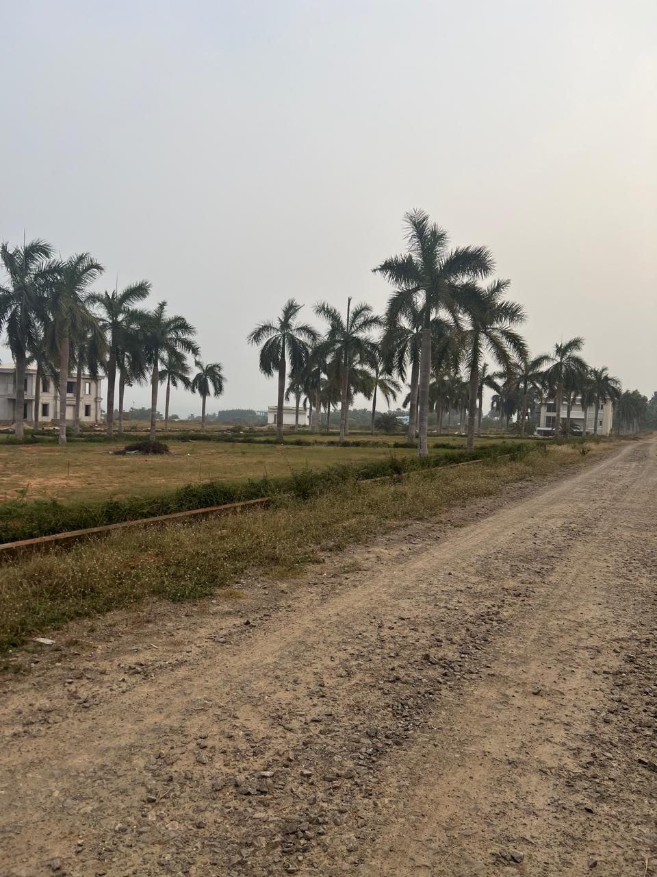 Plot For Sale in Bhogapuram