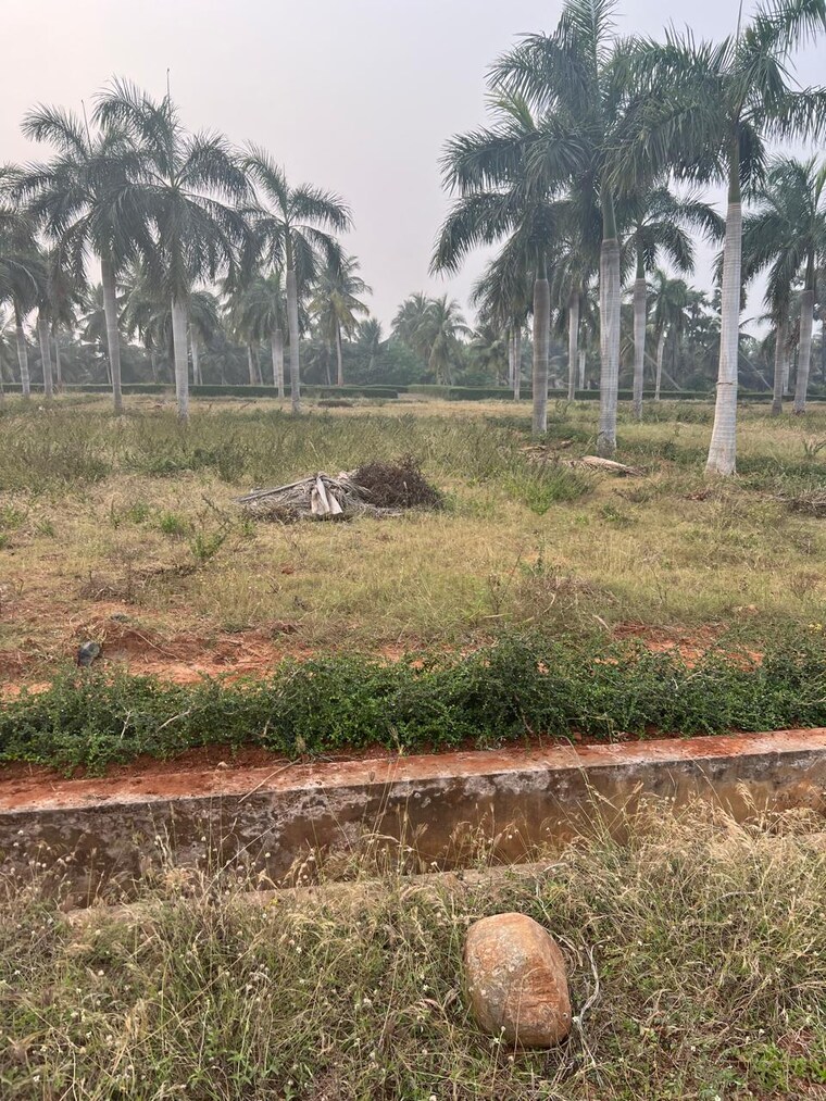 undefined, bhogapuram  888 Sq.Yd. Plot In Bhogapuram Vizag 9261212