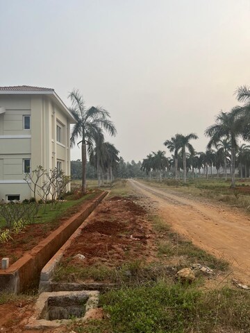  Plot – Exterior View View at Bhogapuram - for Sale
