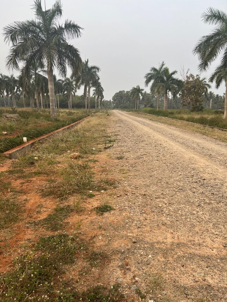 undefined, bhogapuram  888 Sq.Yd. Plot In Bhogapuram Vizag 9261212