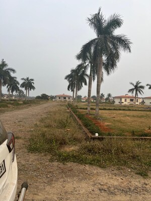 Plot Area in  Plot at Bhogapuram – for Sale