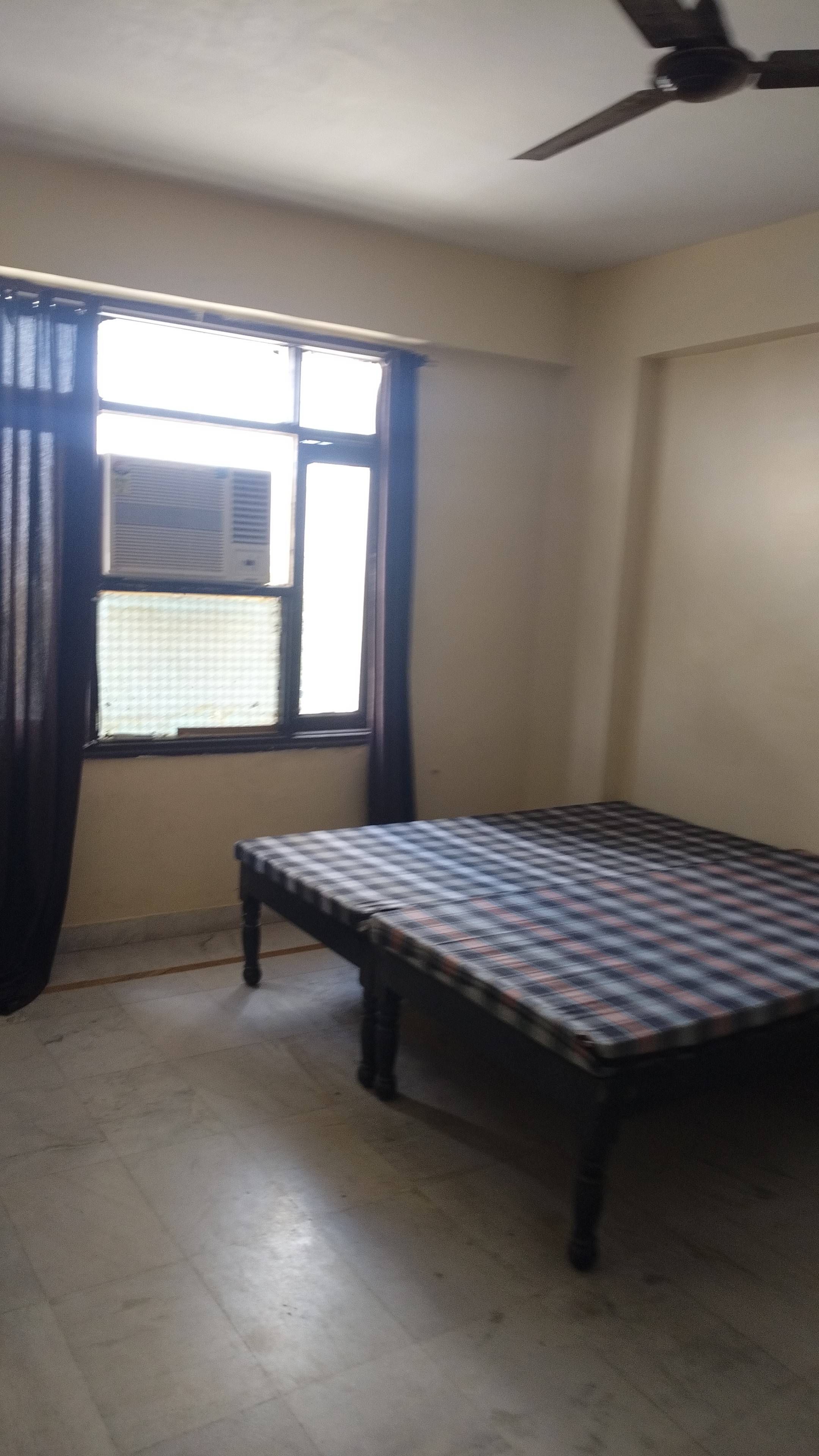 3 BHK Apartment For Rent in Ganpati Paradise