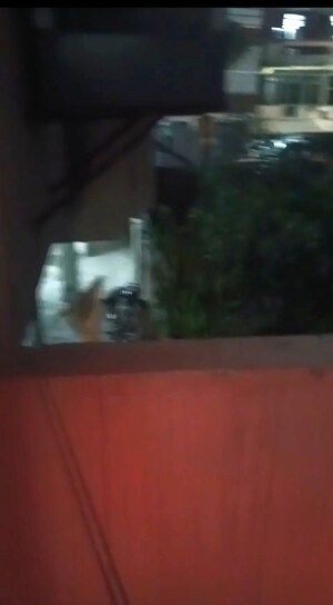 Balcony in 1 BHK Builder Floor at Vaishali Sector 6 – for Rent