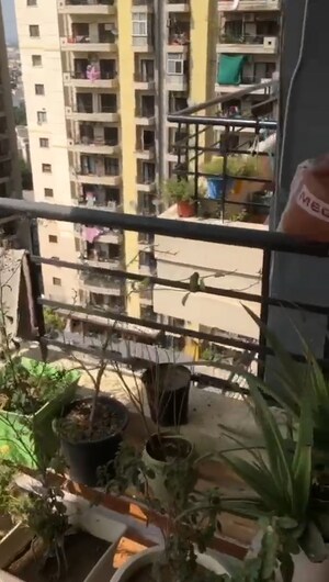 2 BHK Apartment – Exterior View View at RPS Savana, Sector 88 - for Rent